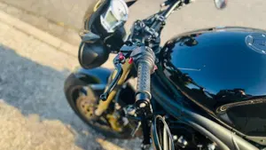 Triumph Speed Triple 1050 (2005 - 11)  (6)