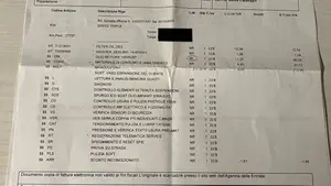 Triumph Speed Triple 1050 (2005 - 11)  (12)
