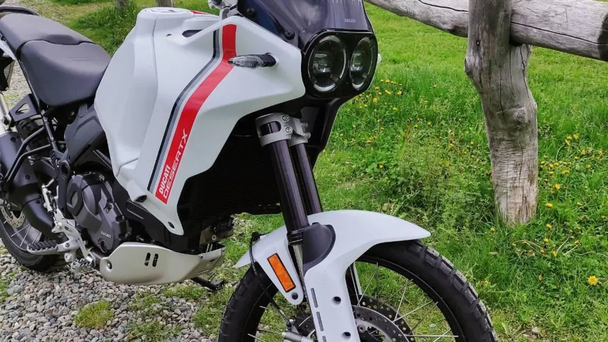 Ducati DesertX (2022 - 25)  (6)