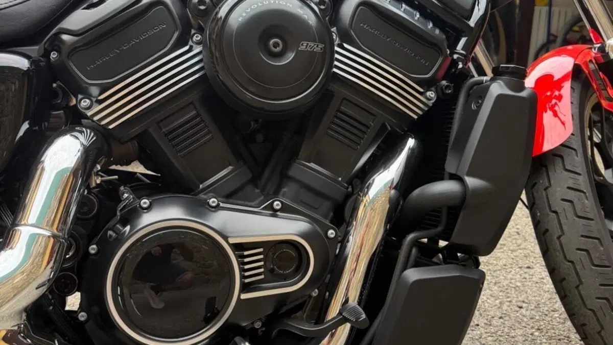 Harley-Davidson Nightster (2023 - 26)  (2)