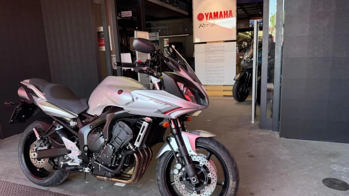 Yamaha FZ6 Fazer S2 (2006 - 11)  (3)