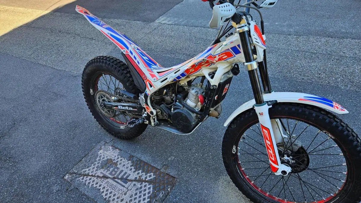 Betamotor Evo 300 2t (2012 - 16)  (2)
