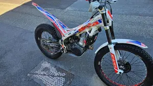 Betamotor Evo 300 2t (2012 - 16)  (2)