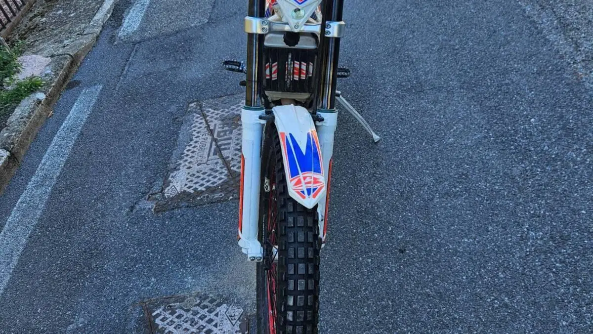 Betamotor Evo 300 2t (2012 - 16)  (3)