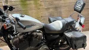 Harley-Davidson 883 Standard (2001 - 05) - XL 883 