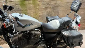 Harley-Davidson 883 Standard (2001 - 05) - XL 883