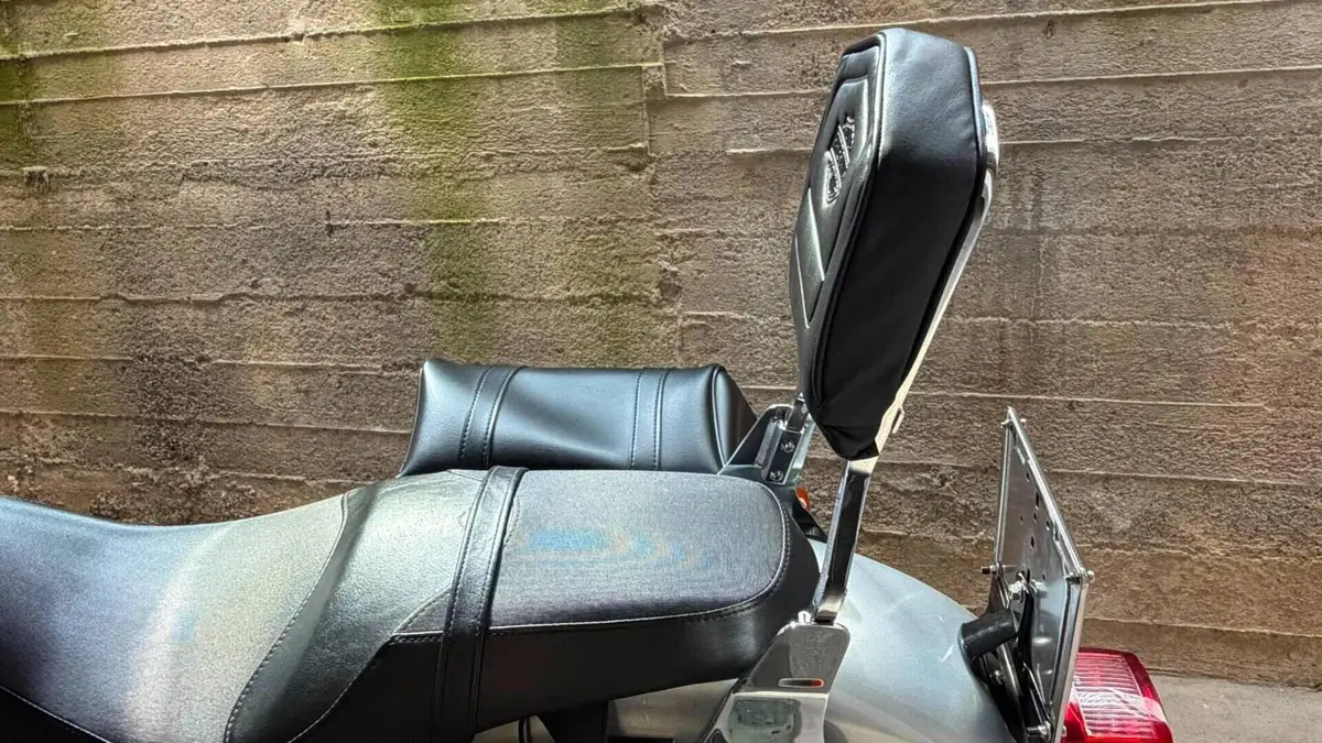 Harley-Davidson 883 Standard (2001 - 05) - XL 883  (2)