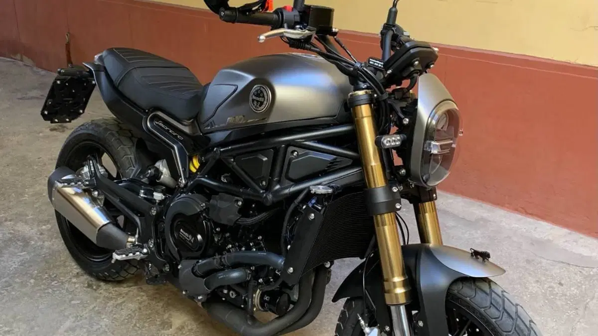 Benelli Leoncino 800 (2022 - 26) 