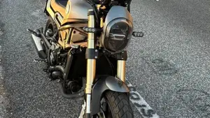 Benelli Leoncino 800 (2022 - 26)  (2)