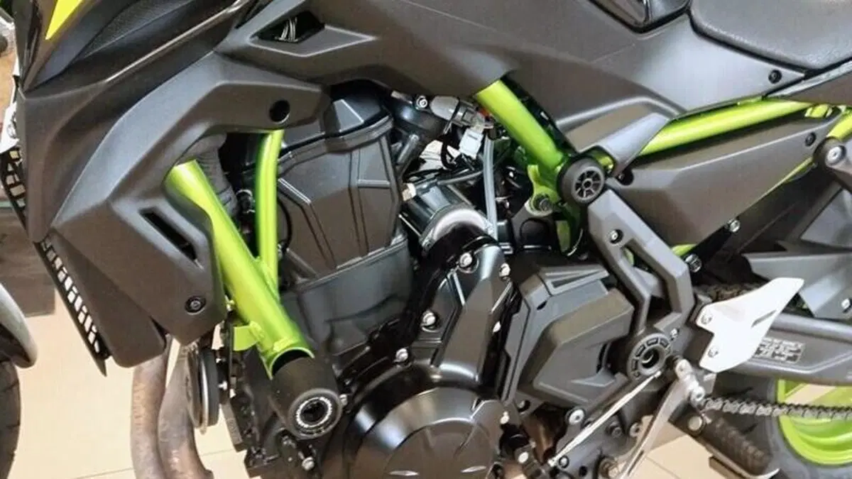 Kawasaki Z 650 (2021 - 24)  (4)