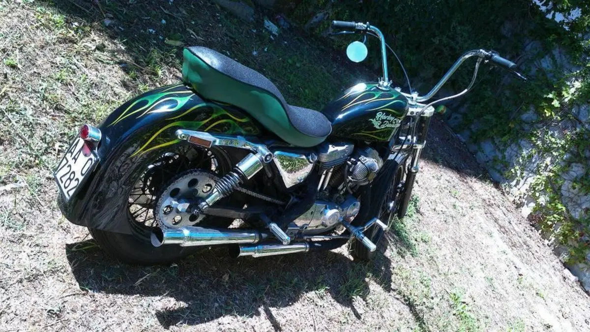 Harley-Davidson   (7)