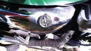 Harley-Davidson   (4)