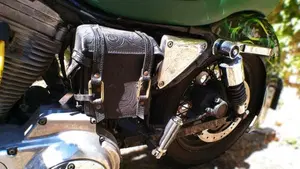 Harley-Davidson   (11)
