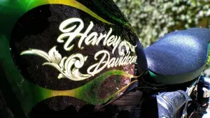 Harley-Davidson   (15)