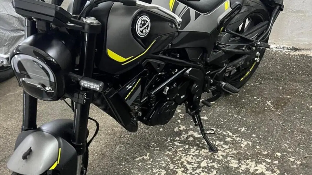Benelli Leoncino 250 (2021 - 25) 
