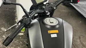 Benelli Leoncino 250 (2021 - 25)  (3)