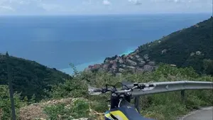 Husqvarna 701 Supermoto (2017 - 19)  (7)