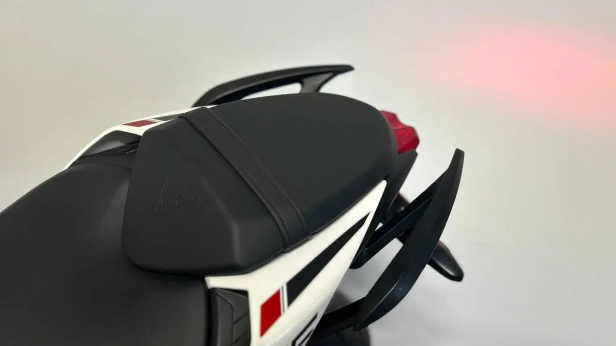 Triumph Street Triple 765 R (2023 - 26)  (8)