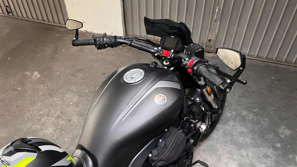 Benelli 502 C (2019 - 20)  (7)