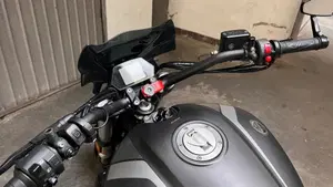 Benelli 502 C (2019 - 20)  (9)