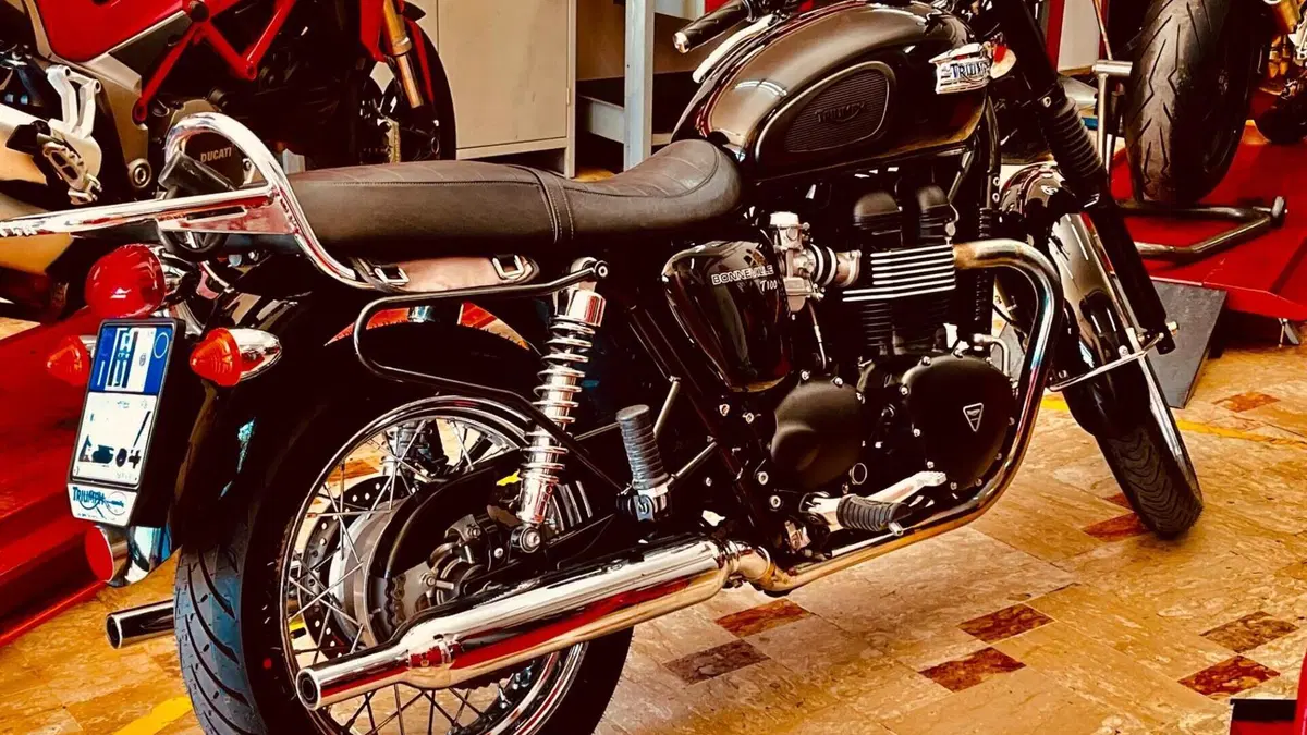 Triumph Bonneville T100 (2008 - 16)  (2)