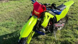 GASGAS EC 250 (2009)  (3)