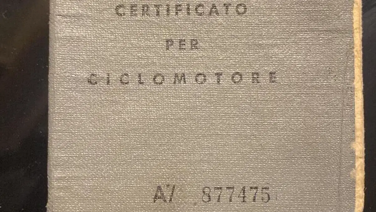 Piaggio   (15)