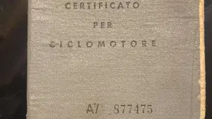 Piaggio   (15)