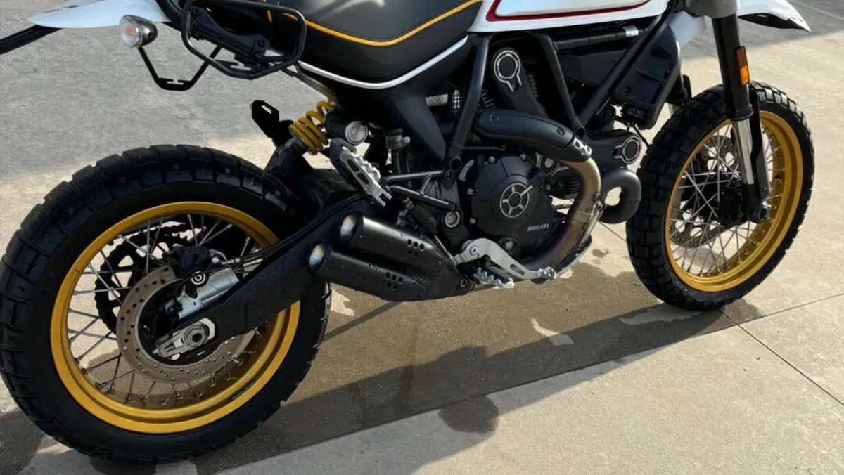 Ducati Scrambler 800 Desert Sled (2017 - 20)  (3)