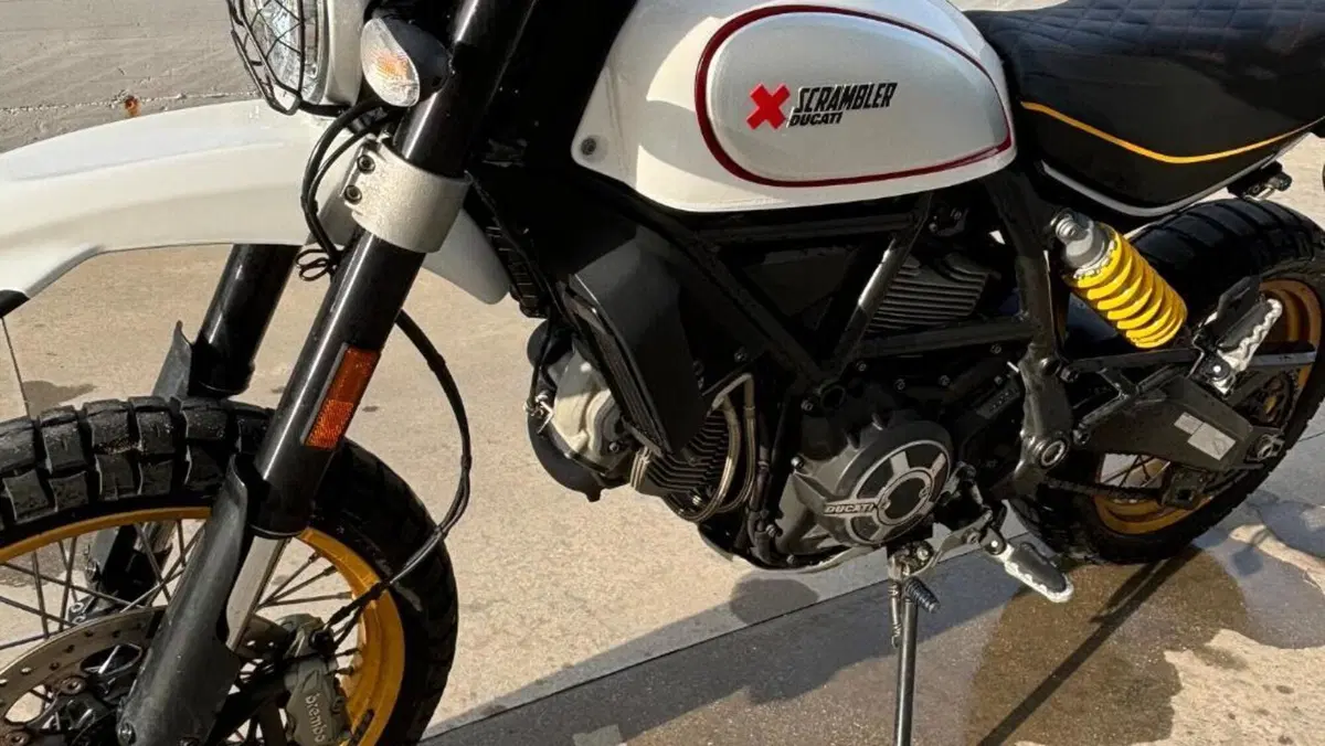 Ducati Scrambler 800 Desert Sled (2017 - 20)  (4)