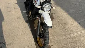 Ducati Scrambler 800 Desert Sled (2017 - 20)  (6)