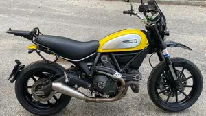Ducati Scrambler 800 Icon (2015 - 16)  (7)