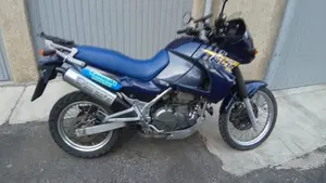 Kawasaki KLE 500 (2001 - 04)  (2)