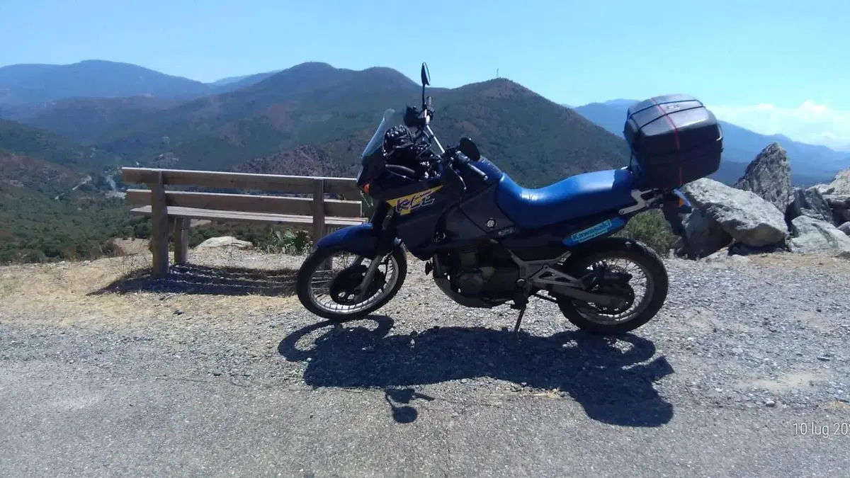 Kawasaki KLE 500 (2001 - 04)  (4)
