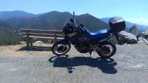 Kawasaki KLE 500 (2001 - 04)  (4)