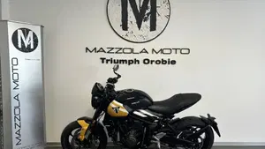 Triumph Trident 660 (2025)  (3)