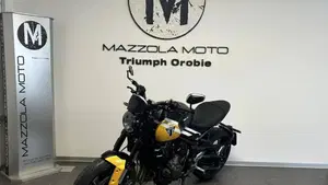 Triumph Trident 660 (2025)  (4)