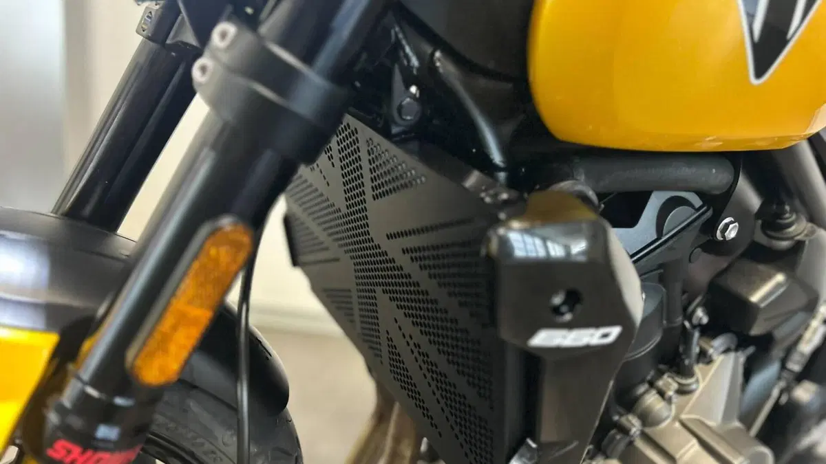 Triumph Trident 660 (2025)  (8)