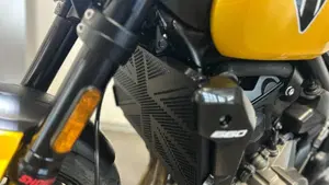 Triumph Trident 660 (2025)  (8)