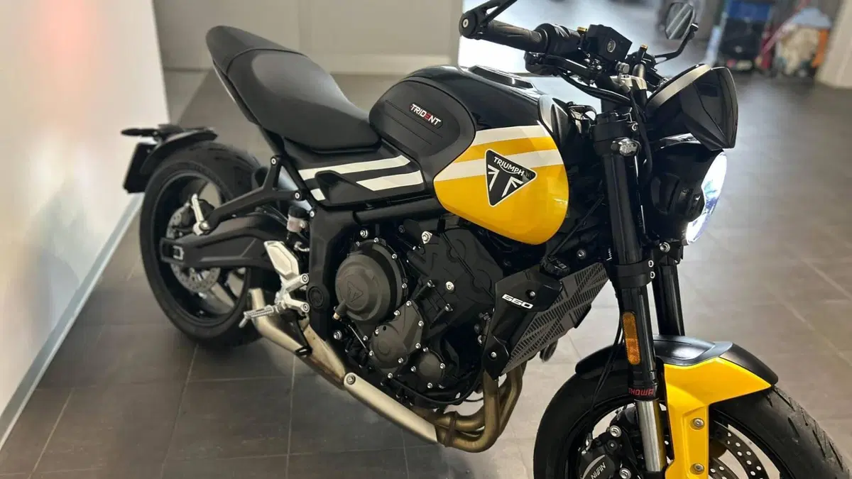 Triumph Trident 660 (2025)  (9)