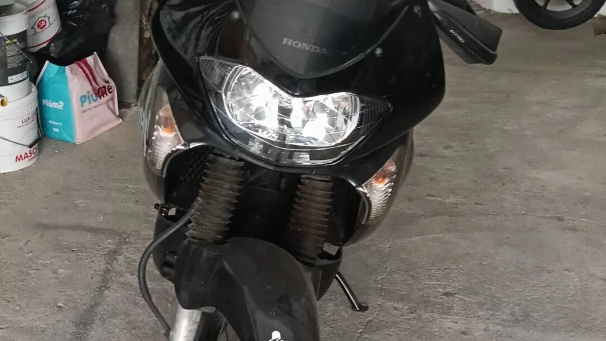 Honda Transalp XL 650V (2005 - 06)  (5)