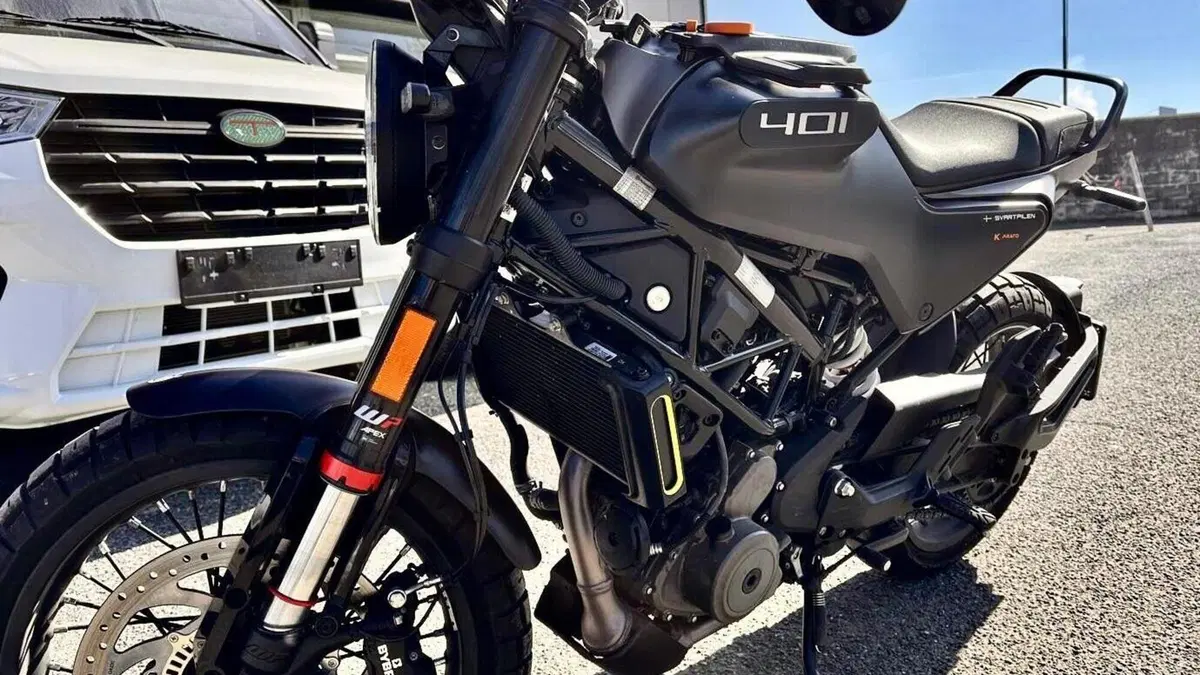 Husqvarna Svartpilen 401 (2021 - 23)  (3)