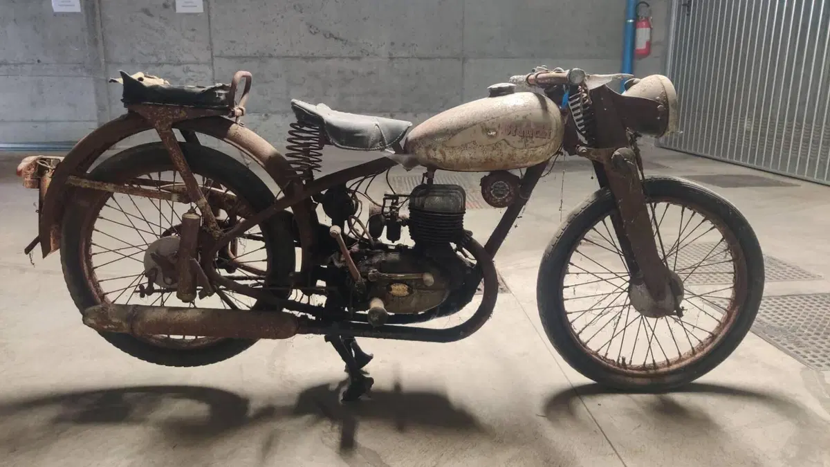 Bianchi  
