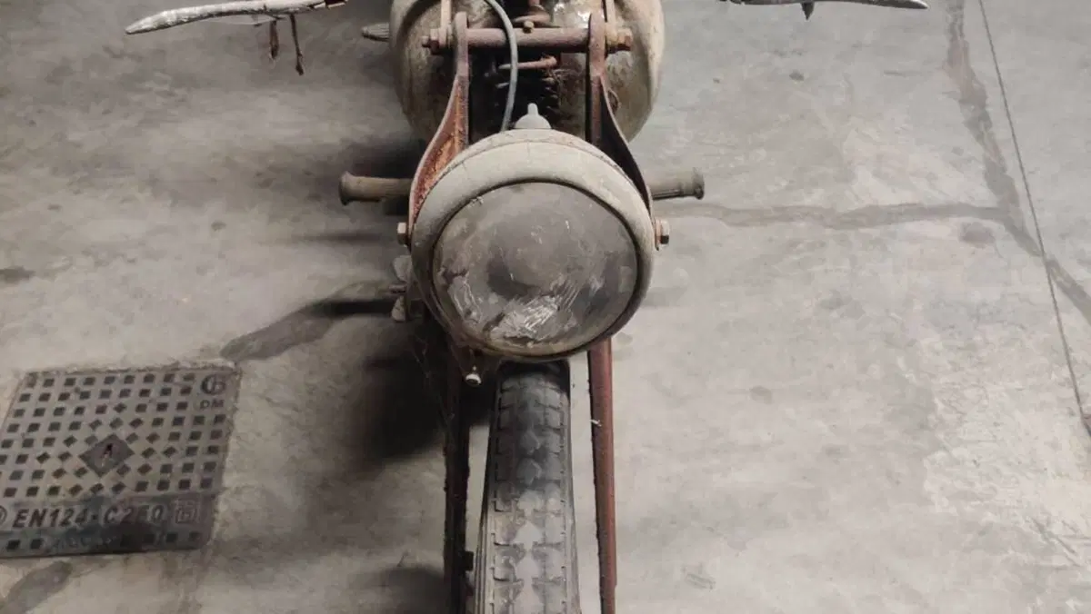Bianchi   (3)