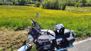 Moto Guzzi V7 Classic (2008 - 12)  (4)