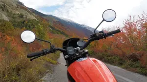 Ducati Scrambler 400 Sixty 2 (2016 - 21)  (2)