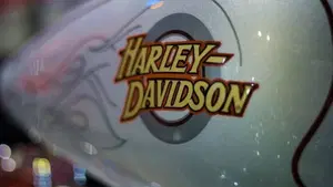 Harley-Davidson 1450 Wide Glide (1995 - 07) - FXDWG  (9)