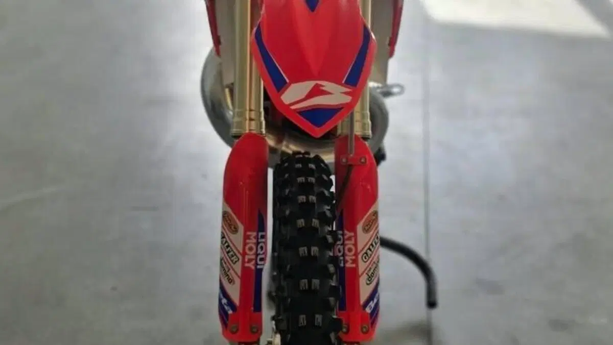 Betamotor RX 300 2T (2024 - 25)  (3)