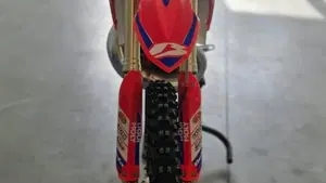 Betamotor RX 300 2T (2024 - 25)  (3)
