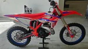 Betamotor RX 300 2T (2024 - 25)  (4)
